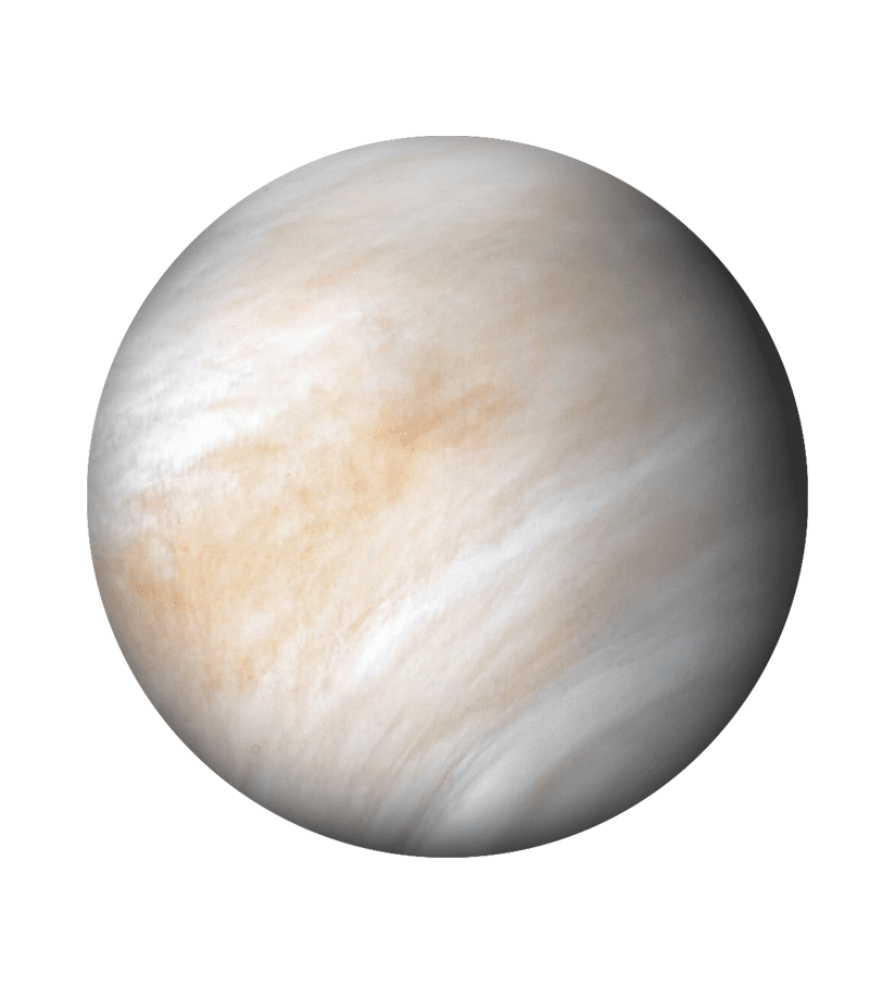 OMEGA X Venus SWATCH
