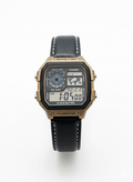 Casio AE-1200 Royale Custom Vintage